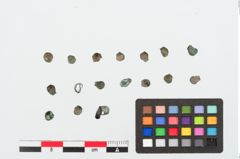 Foto von Bronzeknopf (NHMW-PRAE-024902)